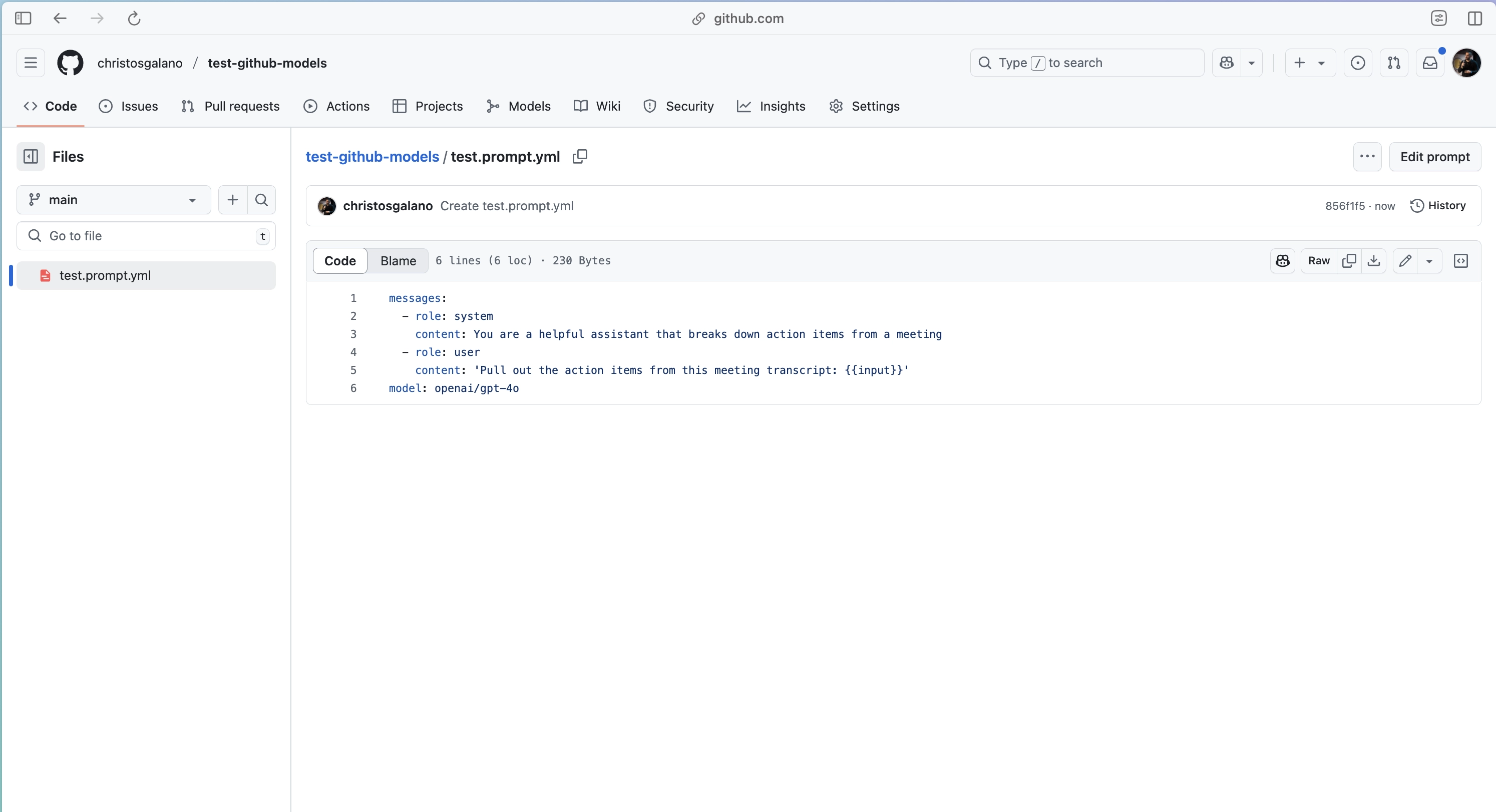 Repository Prompt 3